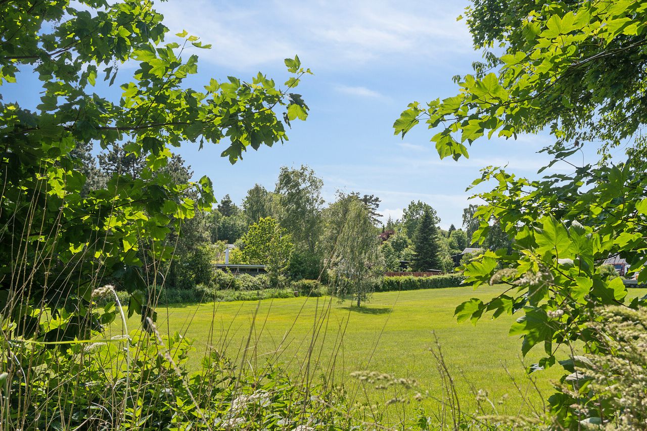image 04